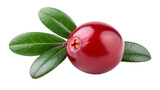 Single Lingonberry with Leaves, Isolated on Transparent Background, High-Resolution Image, Close-up Photography, Lingonberry, Cranberry, Berry