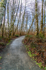 Canvas Print - Wetlands Winter Trail 2