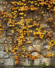 Wall Mural - A wall adorned with golden leaves reflecting autumn's beauty