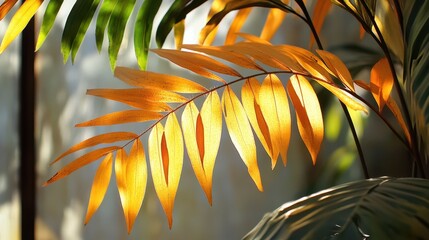 Wall Mural - A vivid close-up captures a plant showcasing vibrant yellow leaves, highlighting its unique texture and coloration in detail.