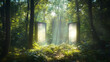 © ImageKing - Forest with two magic portals on glade. Vector cartoon fantasy illustration, game background of summer woods landscape with trees, bushes and mystery gates with pink and green glow