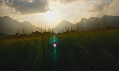 Wall Mural - flying across the vast mountain meadows