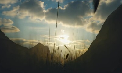 Wall Mural - flying across the vast mountain meadows