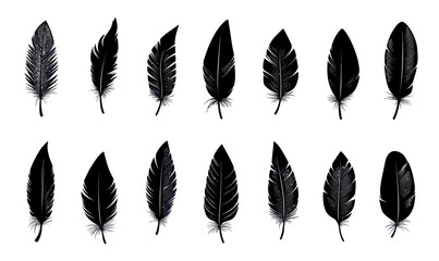 Wall Mural - minimalist black feather silhouettes collection - vector icons set for creative designs