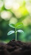 © 路加 石 - ESG concept visualized with green tones, symbolizing sustainability and responsible growth.