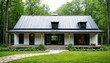 © KarpenArt Studio - A modern white house with a gray roof and black windows sits on a stone path surrounded by trees.