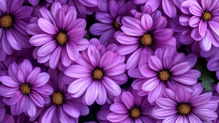 Wall Mural - Stunning close up of purple flowers with intricate petals and bright colors in realistic photography