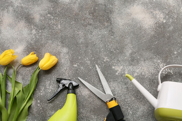 Wall Mural - Gardening tools with tulip flowers on grey background. Top view