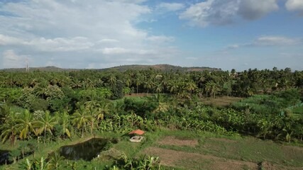 Wall Mural - Drone footage of a green jungle landscape and a village view on a sunny day