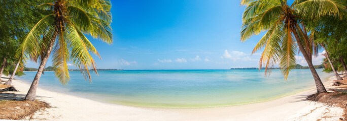 Wall Mural - panorama of tropical beach with coconut palm trees
