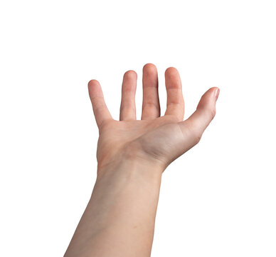 Female hand outstretched with fingers apart, palm open in a reaching or offering gesture. Symbolizing giving, requesting, or seeking help. Right hand, isolated on white background.