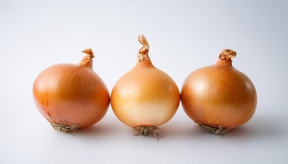 Wall Mural - Fresh onion. Organic and tasty vegetable. Natural farm product.