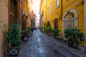 Naklejka na meble View of old narrow street in Rome, Italy. Architecture and landmark of Rome. Cozy cityscape of Rome.