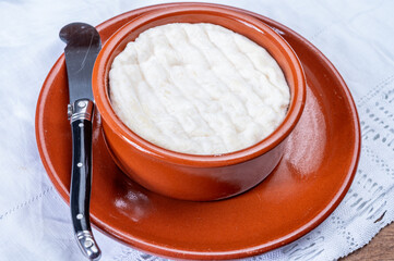 Wall Mural - French dauphinois cheeses collection, Saint-Marcellin, Saint- Felicien cow's milk cheese with white mold from Rhône-Alpes region of France