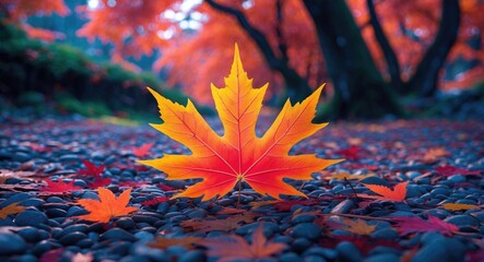 Poster - Vibrant Japanese maple leaf surrounded by colorful autumn foliage on pebbled ground in serene outdoor setting.