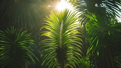 Aufkleber - Lush Green Palm Leaves Illuminated by Sunlight Creating a Serene Tropical Atmosphere with Space for Text or Branding