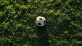 Classic black and white soccer ball resting on vibrant green grass under warm sunlight creating a lively atmosphere