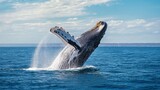 Whale breaching ocean waters wildlife photography marine environment underwater perspective splashing dynamics