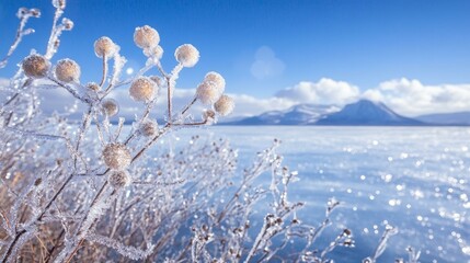 Canvas Print - Frozen Winter Plants on a Frozen Lake