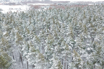 Canvas Print - Aerial view of peaceful snowy countryside