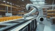 © Athirat - robot capable of running logistics in large food production factories, overseeing ingredient sourcing, production processes, and packaging.