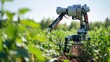 © Athirat - robotic farming system that learns from environmental data and makes autonomous decisions to improve crop output.
