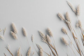 Canvas Print - Dried Wheat Stalks Appear Against a Light Grey Background