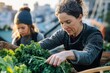 © Tina - A woman carefully harvests fresh kale from a rooftop garden, assisted by a younger person in the background.