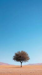 Wall Mural - Solitary tree in vast arid desert landscape under clear blue sky. Nature and tranquility concept
