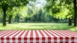 © vetrana - Summer picnic scene with red and white checkered tablecloth in a blurred green park setting