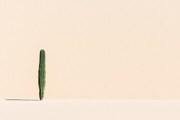 Poster - minimalist sand background with single cactus casting shadow