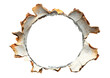© Lucky - Bullet hole with cracked broken damaged on glass or wooden walls, cardboard isolated on cut out PNG or transparent background. Art from real bullet holes.Texture Background Abstract.
