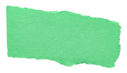 Wall Mural - isolated cut out torn piece of blank green paper note cardboard with rough texture and copy space fo