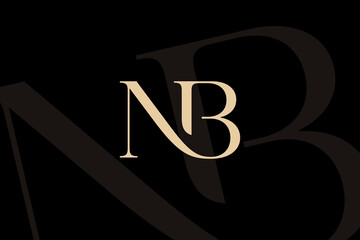 Wall Mural - nb or bn letter logo icon design. classic style luxury initials monogram.