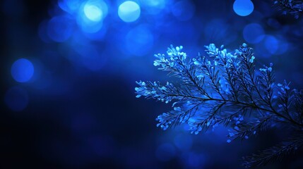 Blue Branch with Bokeh Lights for Winter, Christmas, or Holiday Season
