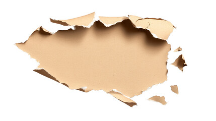 Wall Mural - Torn paper with hole, textured background for abstract design and creative projects