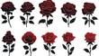 © Naila - Red roses set silhouette vector illustration on a isolated white background