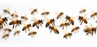 © miss irine - Honey bee swarm isolated on white transparent background. Flying insects group. Animals pollination process. Honeycomb tied-up organic agriculture. Wildlife springtime scene. Insect swarm. Honey