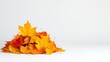 © BrilliantPixels - Autumn Maple Leaves Pile, Isolated on White, Season , Fall