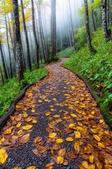 Canvas Print - Autumnal trail through a misty forest. Yellow and brown leaves cover the path. Soft, diffused light. Tranquil and peaceful atmosphere