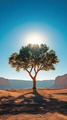 Wall Mural - A solitary tree with lush foliage in a desert landscape under clear blue sky with the sun backlighting. Nature and solitude concept
