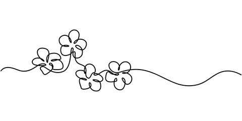 Plumeria flower continuous one line drawing. Frangipani linear blossom. Vector isolated on white, Plumeria flowers in continuous line art drawing style. Vector illustration, Plumeria flowers.
