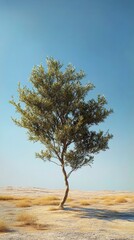 Wall Mural - Solitary tree in arid landscape under a clear blue sky, minimalistic nature scene. Serenity and solitude concept