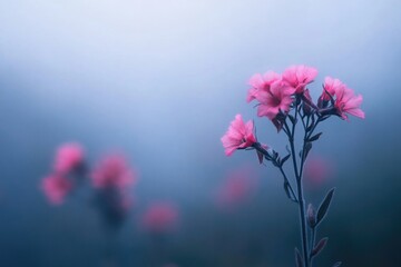 Sticker - A bouquet of pink flowers growing in a lush green field