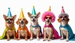© Vadym - Group of five happy dogs in colorful costumes celebrating party on white background. Dog wears party hat sunglasses, cape. Funny cheerful pets. Party animals, celebrate birthday, event occasion.
