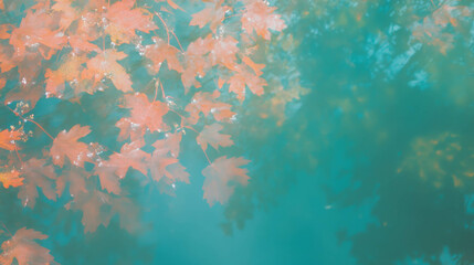 Fototapete - Elegant maple leaf texture with birds eye pattern in serene light