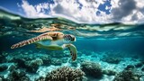 Żółw morski płynący nad rafą koralową w krystalicznie czystej wodzie