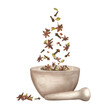 © Masha_tolk_art - Cardamom, star anise, clove falling in granite bowl Watercolor illustration. Flying winter spices ready for grinding with pestle and mortar. Aroma ingredients for Xmas drinks and bakery. Organic food