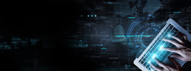 Wall Mural - cms (content management systems): businessman data analysis for performance and user engagement, con