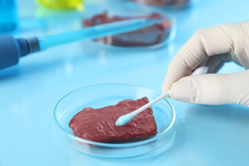 Wall Mural - GMO concept. Scientist with swab and piece of meat at table in laboratory, closeup. Space for text